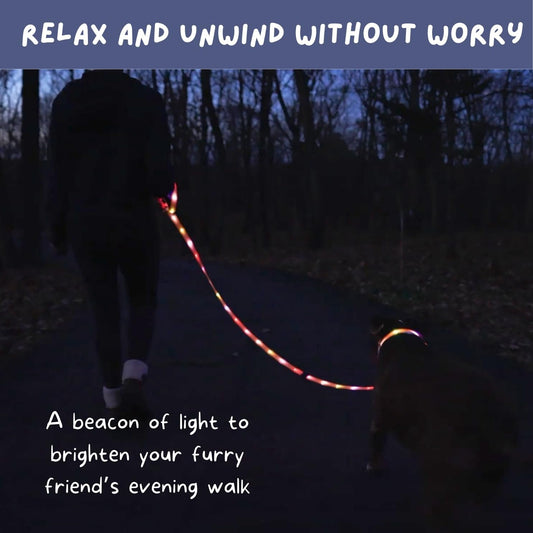 Flash Pet Led Dog Leash Safety Light with Maximum Visibility Up to 1100 Ft