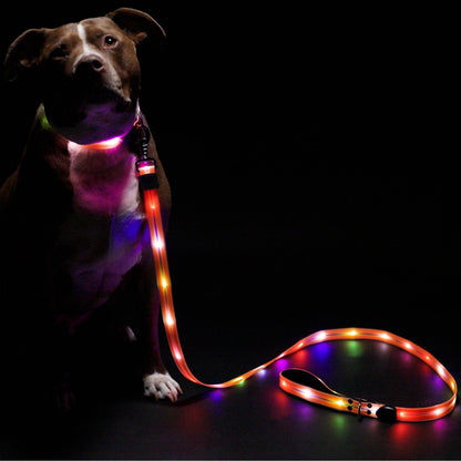 Lighted Dog Leash LED Safety Light