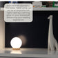Iris Glass Ball Table Lamp With 6 Watt 550 Lumen 2700k Led Bulb