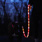 Lighted Dog Leash LED Safety Light With Visibility Up To 1100 Ft
